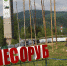 В Дивногорске прошли соревнования «Сибирский лесоруб» - Город Дивногорск