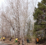 IMG-20230414-WA0002 - Газета Огни Енисея