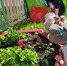 IMG-f42a76f2a6c860249294a9cf100ccfc2-V - Отдел образования