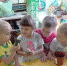 Screenshot_20231010_070943_Browser - Отдел образования