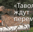 «Таволгу» ждут перемены - Газета Огни Енисея