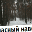 IMG_20250126_151942 - Газета Огни Енисея