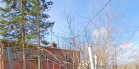 5449508798302644352 - Газета Огни Енисея