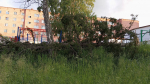 Последствия недавней грозы