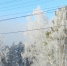 Холодает!. - Город Дивногорск