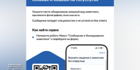 На портале «Госуслуги» можно уведомить о безнадзорном животном. - Город Дивногорск