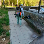 Делимся новым фотоотчетом о проделанной работе по уборке города.