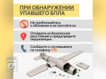 Что делать при беспилотной опасности.